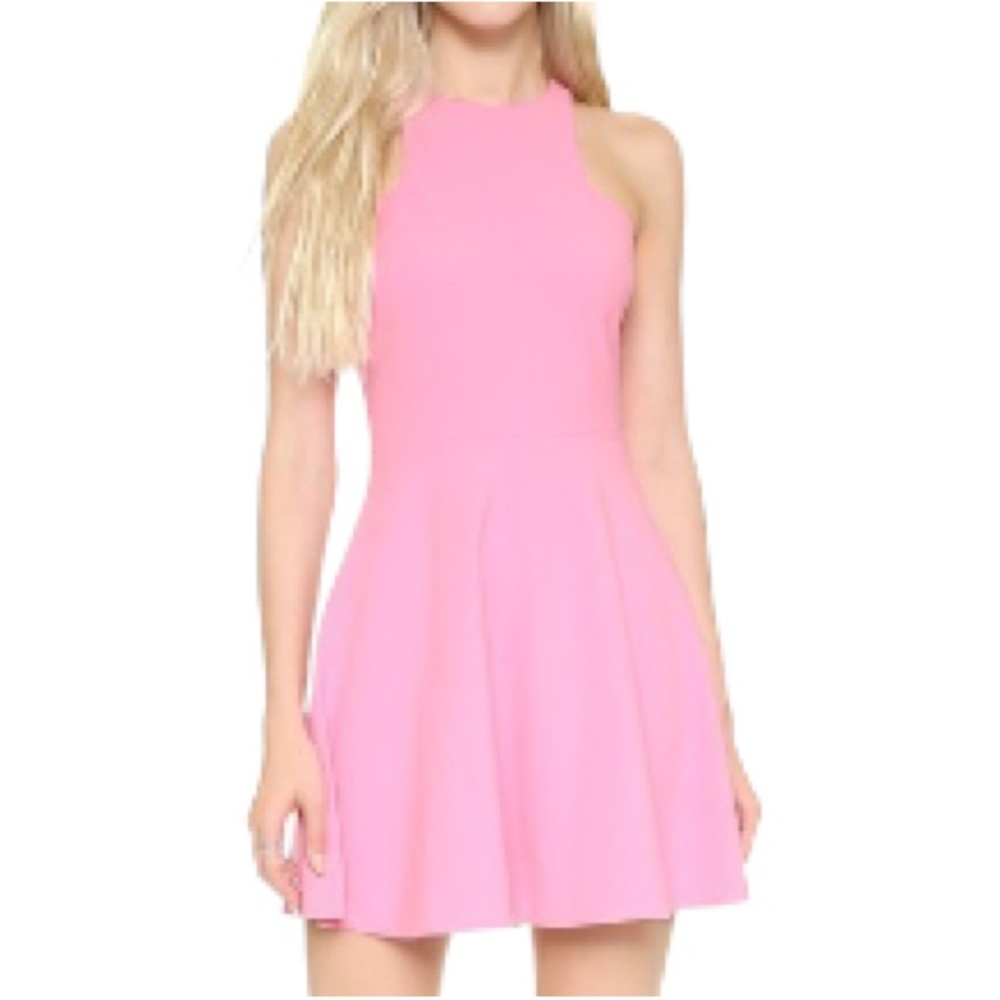 ELIZABETH AND JAMES Fit and Flare Mini Dress